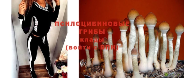стаф Магадан