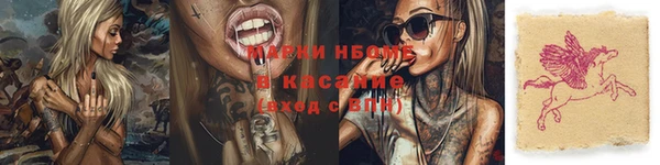 стаф Магадан