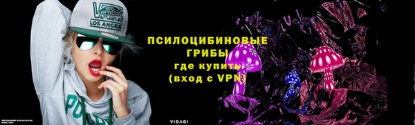 крисы Майский