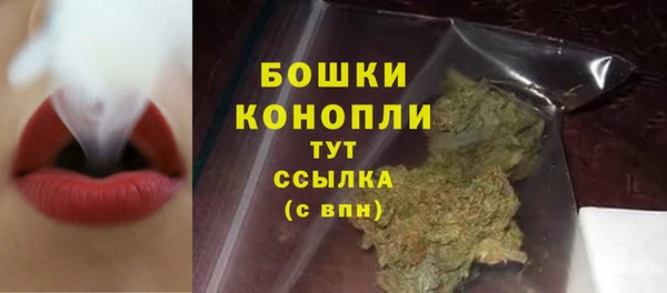 крисы Майский
