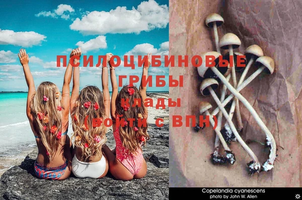 гашиш Магас