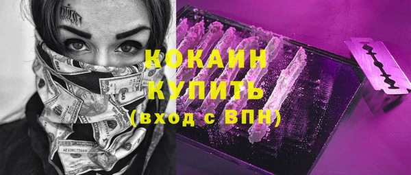 крисы Майский