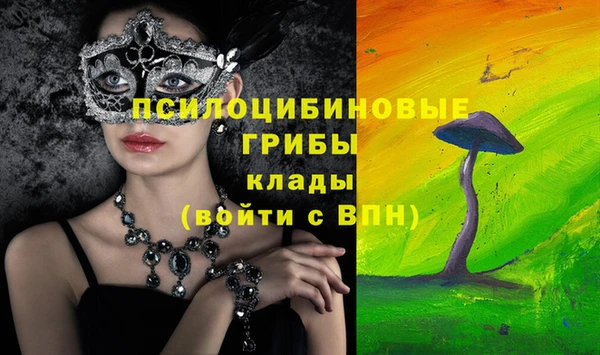 стаф Магадан